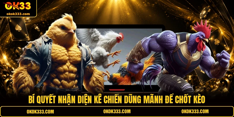 Bí quyết nhận diện kê chiến dũng mãnh để chốt kèo