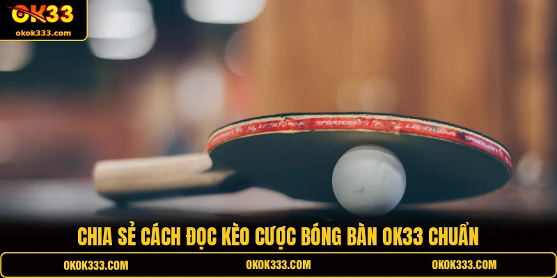 Chia sẻ cách đọc kèo cược bóng bàn OK33 chuẩn