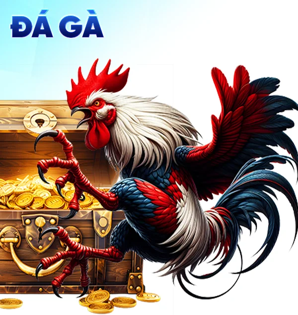 Đá gà
