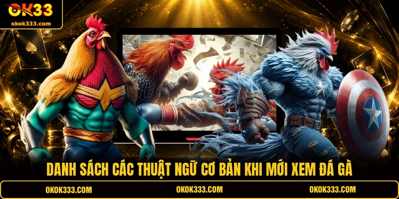 Danh sách các thuật ngữ cơ bản khi xem đá gà