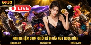 Kinh nghiệm chọn chiến kê chuẩn qua ngoại hình