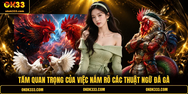 Tầm quan trọng của việc nắm rõ các thuật ngữ đá gà