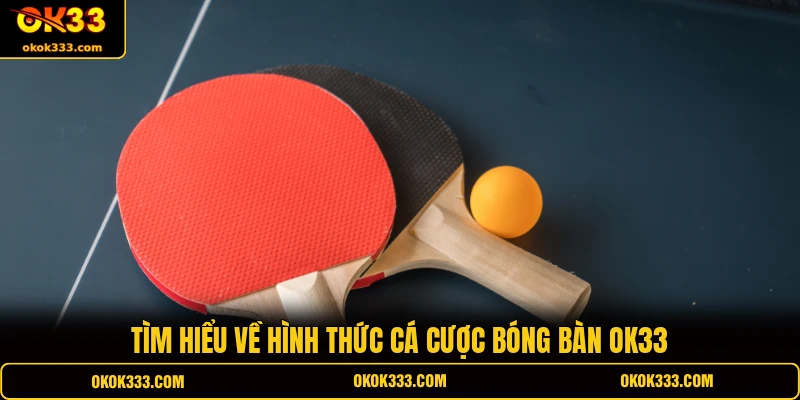 Tìm hiểu về hình thức cá cược bóng bàn OK33